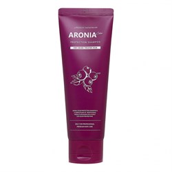 Pedison Шампунь для волос Institute-Beaute Aronia Color Protection Shampoo, 100мл nnAdbb37gDmmyMAZzCG3n2