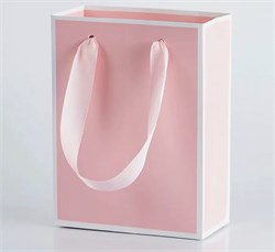 Пакет нежно-розовый 20*28 7WIquMmyiWpU7i825EepY2