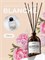 Kamali Диффузор для дома «Blanche» аромат розы, пиона, мускуса 4673748056477